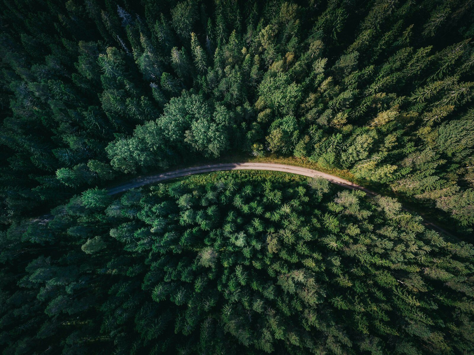 Aerial view of a road winding through West Virginia forest — telehealth psychiatry reaching every corner of the state